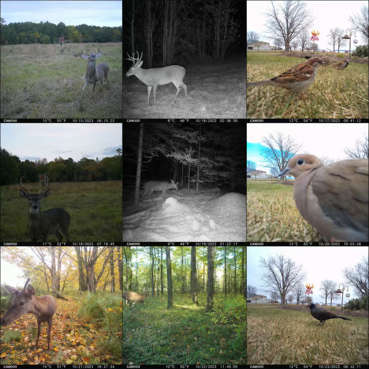 Caméra de chasse solaire 4G ce - Eufy Camera E220 avis et prix