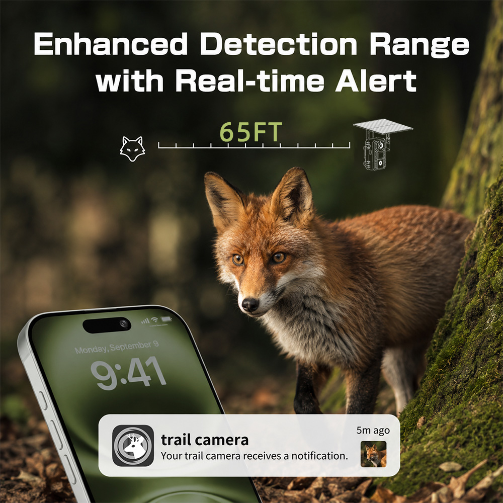 Caméra de chasse solaire 4G ce - Eufy Camera E220 avis et prix